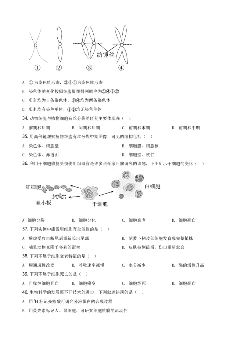 精品解析：江苏省南京市高一上学期期末学情调研生物试题（原卷版）_高中九科知识点归纳。_人教版高中Word电子版试卷练习试题知识点全科_高中生物试卷习题_生物必修_必修1_2.各地真题