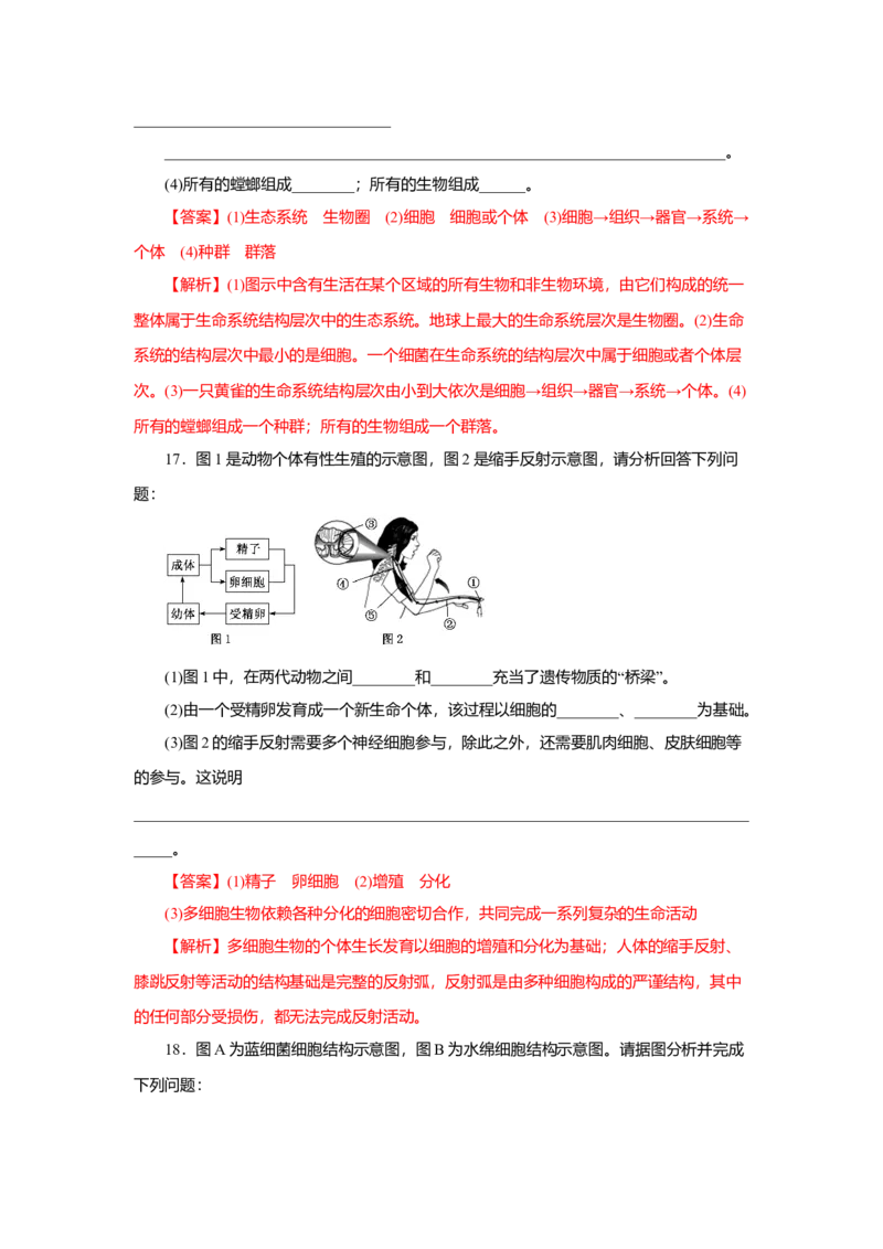 第01章走进细胞（A卷）（解析版）_高中九科知识点归纳。_人教版高中Word电子版试卷练习试题知识点全科_高中生物试卷习题_生物必修_必修1_人教版生物必修一单元测试（032份）