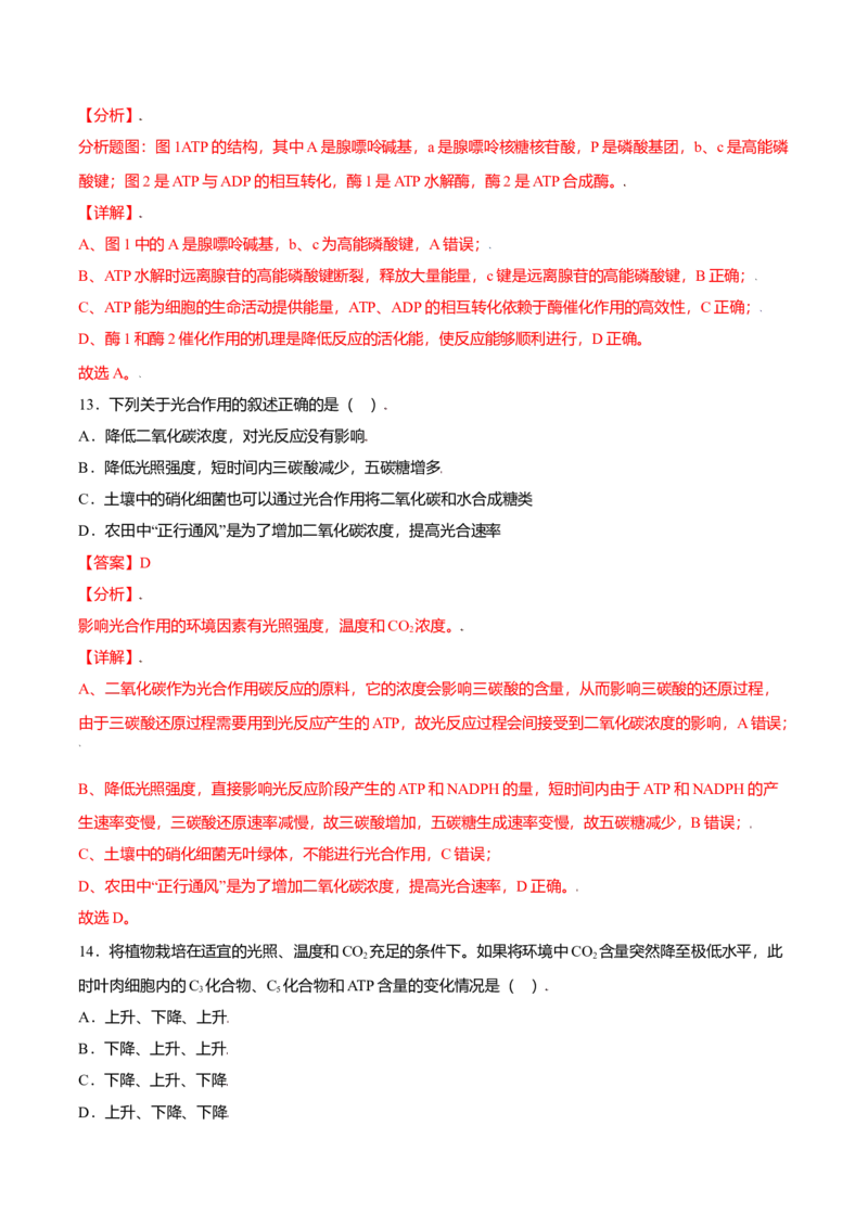 第五章章末测试-高一生物课后培优练（人教版2019必修1）（解析版）_高中九科知识点归纳。_人教版高中Word电子版试卷练习试题知识点全科_高中生物试卷习题_生物必修_必修1