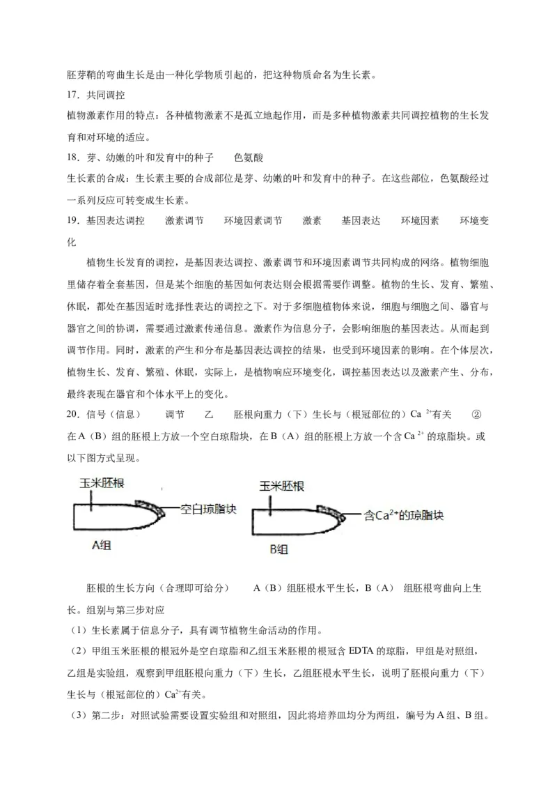 第5章植物生命活动的调节单元测试卷人教版（2019）高中生物选择性必修1_高中九科知识点归纳。_人教版高中Word电子版试卷练习试题知识点全科_高中生物试卷习题_生物选修_选修1_第五章