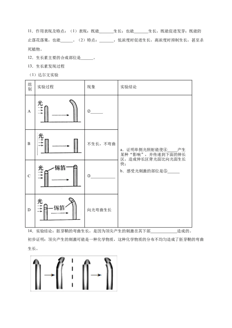 第5章植物生命活动的调节单元测试卷人教版（2019）高中生物选择性必修1_高中九科知识点归纳。_人教版高中Word电子版试卷练习试题知识点全科_高中生物试卷习题_生物选修_选修1_第五章