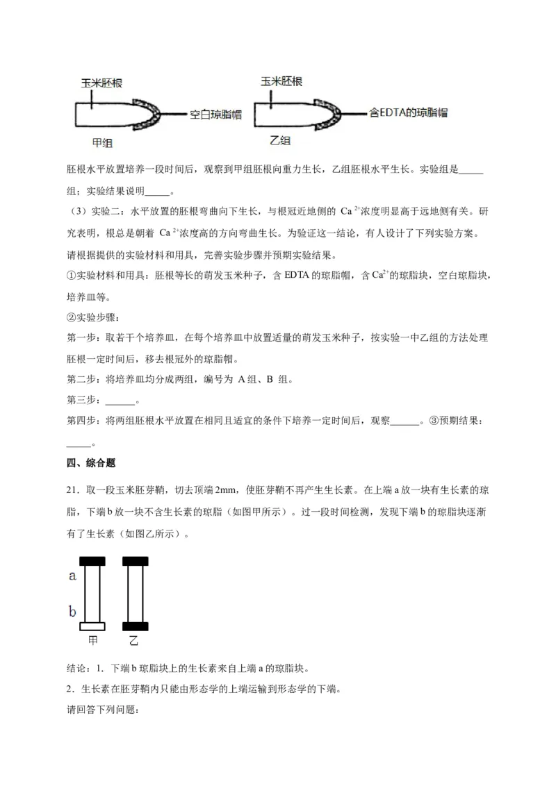 第5章植物生命活动的调节单元测试卷人教版（2019）高中生物选择性必修1_高中九科知识点归纳。_人教版高中Word电子版试卷练习试题知识点全科_高中生物试卷习题_生物选修_选修1_第五章