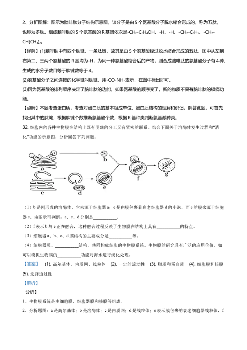 精品解析：天津市东丽区高一上学期期末生物试题（解析版）_高中九科知识点归纳。_人教版高中Word电子版试卷练习试题知识点全科_高中生物试卷习题_生物必修_必修1_2.各地真题