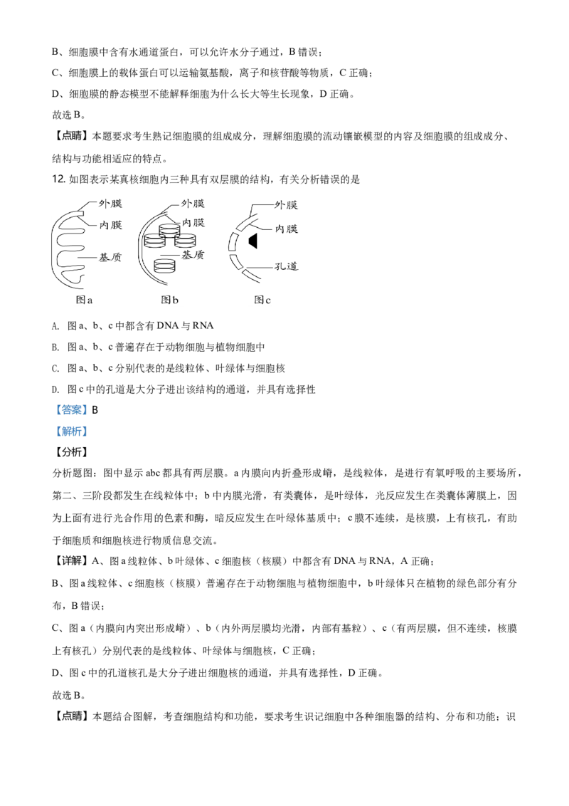 精品解析：天津市东丽区高一上学期期末生物试题（解析版）_高中九科知识点归纳。_人教版高中Word电子版试卷练习试题知识点全科_高中生物试卷习题_生物必修_必修1_2.各地真题