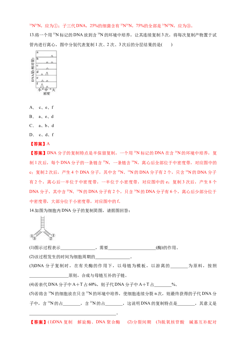 新教材精创3.3DNA的复制练习（1）（解析版）_高中九科知识点归纳。_人教版高中Word电子版试卷练习试题知识点全科_高中生物试卷习题_生物必修_必修2_1、同步练习