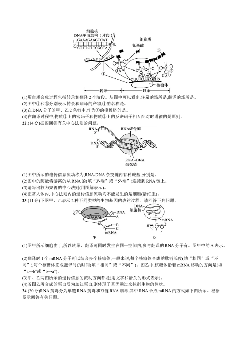 第4章基因的表达（原卷版）_高中九科知识点归纳。_人教版高中Word电子版试卷练习试题知识点全科_高中生物试卷习题_生物必修_必修2_人教版生物必修二单元测试（012份）
