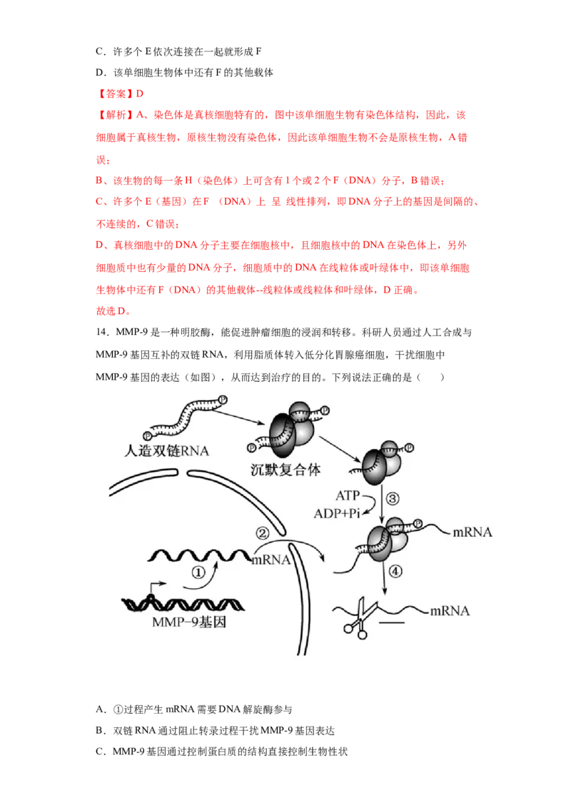 期末拔高卷4-冲刺期末高一生物下学期期末拔高冲刺卷（2019人教版）（解析版）_高中九科知识点归纳。_人教版高中Word电子版试卷练习试题知识点全科_高中生物试卷习题_生物必修