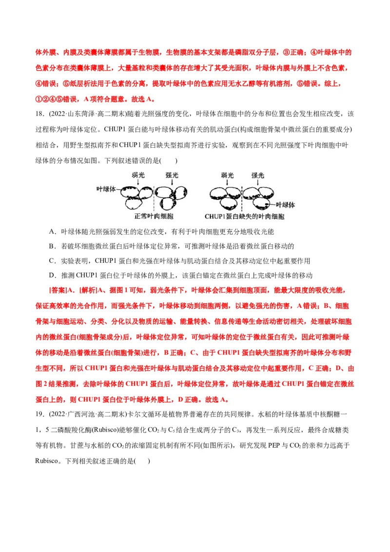 第5章细胞的能量供应和利用（B卷&middot;能力提升练）（解析版）_高中九科知识点归纳。_人教版高中Word电子版试卷练习试题知识点全科_高中生物试卷习题_生物必修_必修1