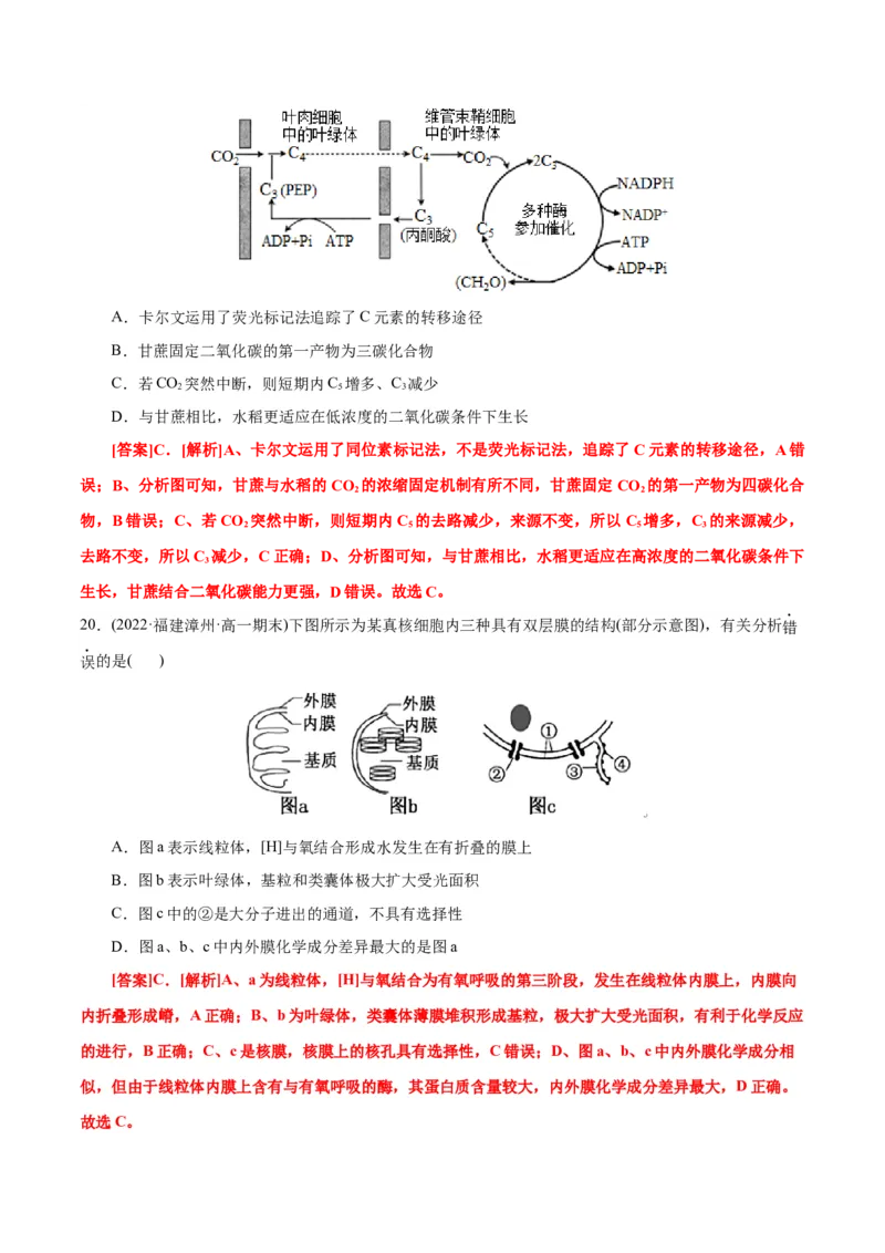 第5章细胞的能量供应和利用（B卷&middot;能力提升练）（解析版）_高中九科知识点归纳。_人教版高中Word电子版试卷练习试题知识点全科_高中生物试卷习题_生物必修_必修1