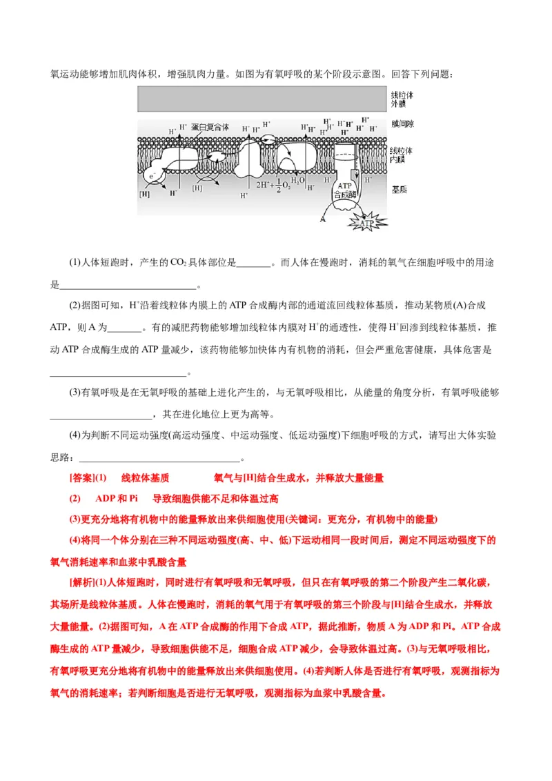 第5章细胞的能量供应和利用（B卷&middot;能力提升练）（解析版）_高中九科知识点归纳。_人教版高中Word电子版试卷练习试题知识点全科_高中生物试卷习题_生物必修_必修1