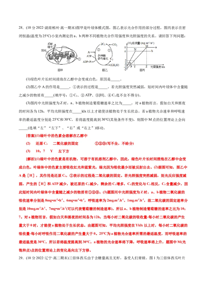 第5章细胞的能量供应和利用（B卷&middot;能力提升练）（解析版）_高中九科知识点归纳。_人教版高中Word电子版试卷练习试题知识点全科_高中生物试卷习题_生物必修_必修1
