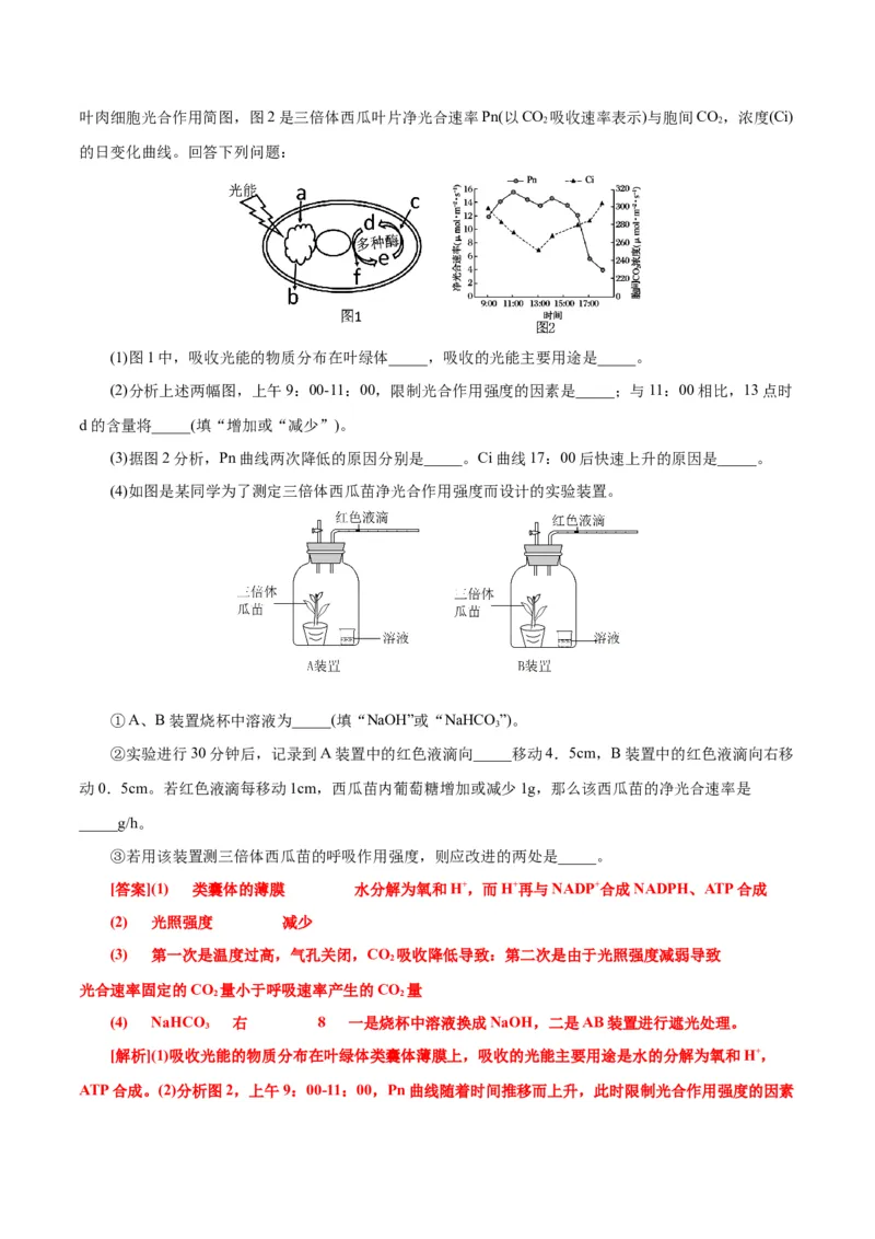 第5章细胞的能量供应和利用（B卷&middot;能力提升练）（解析版）_高中九科知识点归纳。_人教版高中Word电子版试卷练习试题知识点全科_高中生物试卷习题_生物必修_必修1