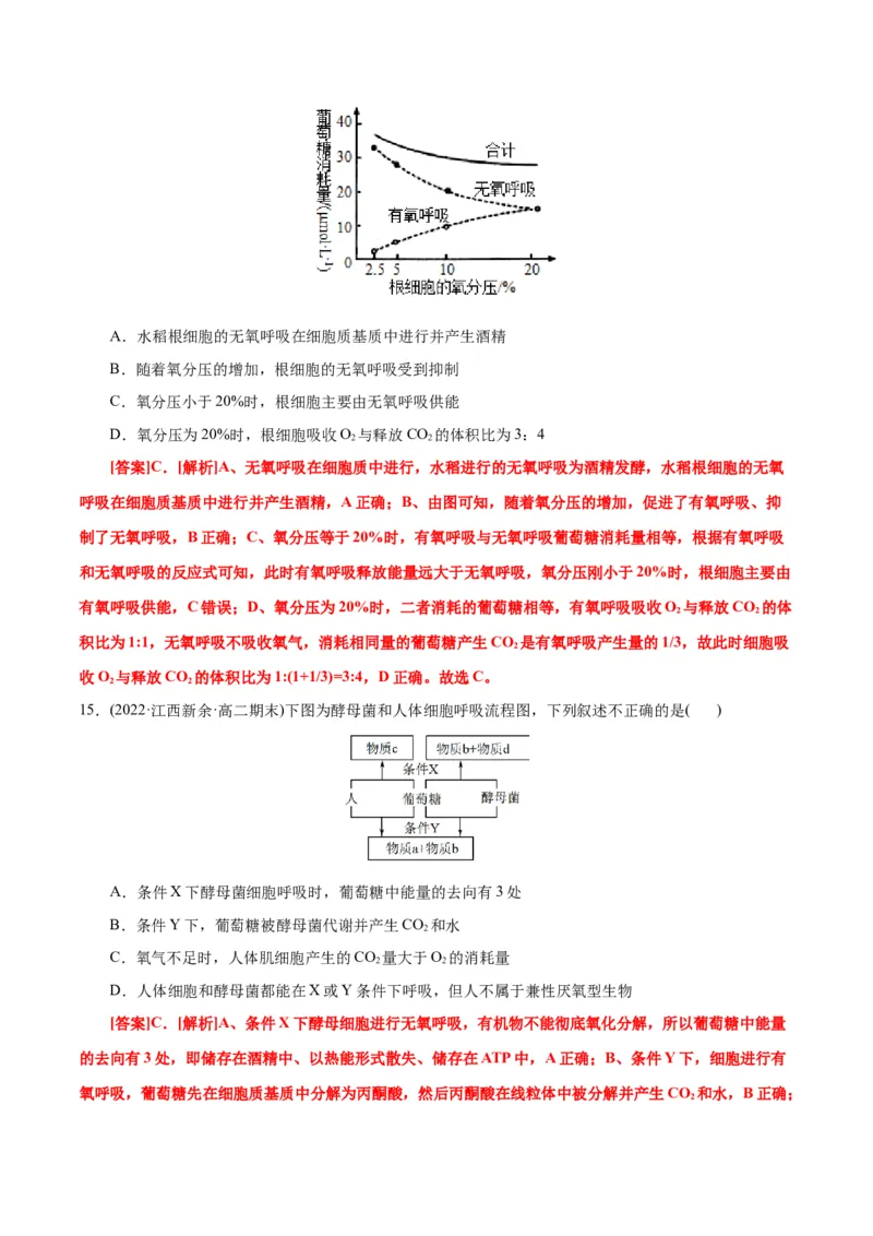 第5章细胞的能量供应和利用（B卷&middot;能力提升练）（解析版）_高中九科知识点归纳。_人教版高中Word电子版试卷练习试题知识点全科_高中生物试卷习题_生物必修_必修1