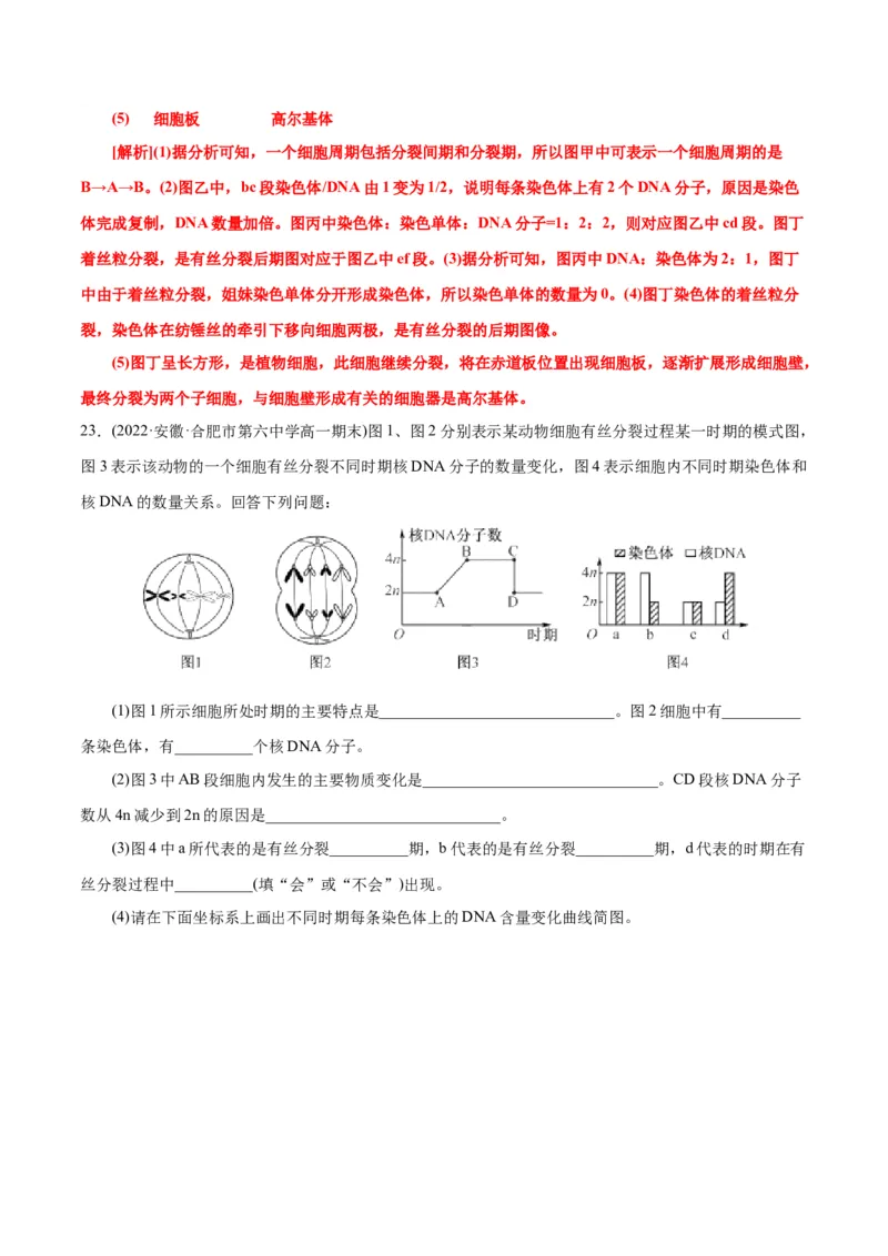 第6章细胞的生命历程（A卷&middot;知识通关练）（解析版）_高中九科知识点归纳。_人教版高中Word电子版试卷练习试题知识点全科_高中生物试卷习题_生物必修_必修1_1.单元测试AB卷（第一套）