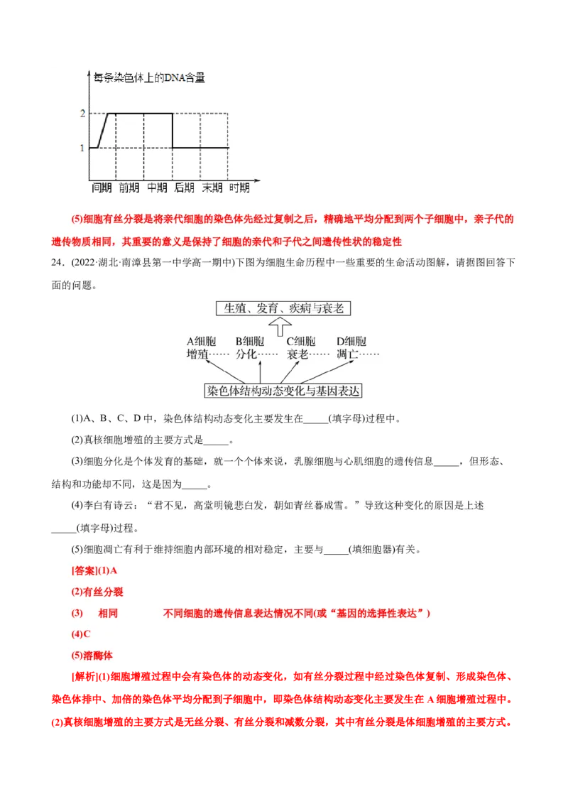 第6章细胞的生命历程（A卷&middot;知识通关练）（解析版）_高中九科知识点归纳。_人教版高中Word电子版试卷练习试题知识点全科_高中生物试卷习题_生物必修_必修1_1.单元测试AB卷（第一套）