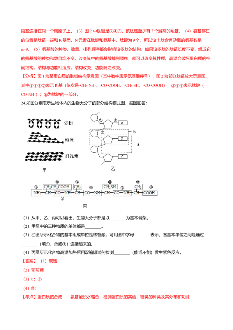 第二章章末测试-高一生物课后培优练（人教版2019必修1）（解析版）_高中九科知识点归纳。_人教版高中Word电子版试卷练习试题知识点全科_高中生物试卷习题_生物必修_必修1