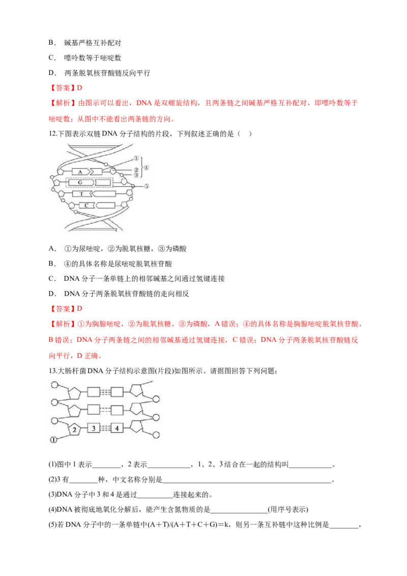 新教材精创3.2DNA的结构练习（1）（解析版）_高中九科知识点归纳。_人教版高中Word电子版试卷练习试题知识点全科_高中生物试卷习题_生物必修_必修2_1、同步练习