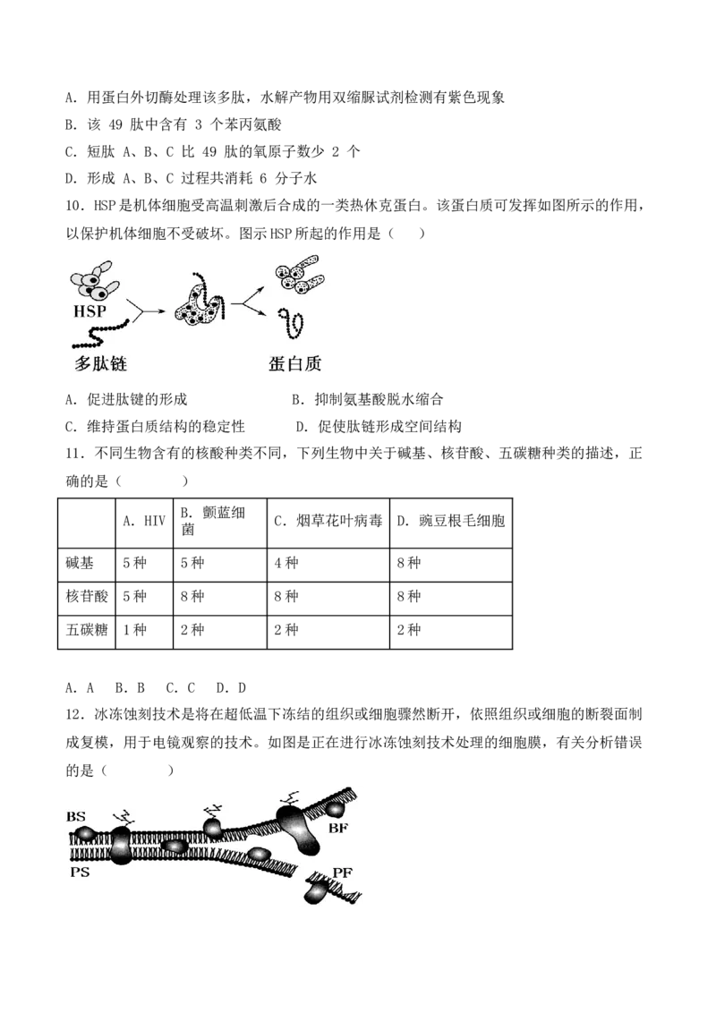 综合拉练卷02（原卷版）_高中九科知识点归纳。_人教版高中Word电子版试卷练习试题知识点全科_高中生物试卷习题_生物必修_必修1_人教版生物必修一期末试卷（038份）_1.模拟题