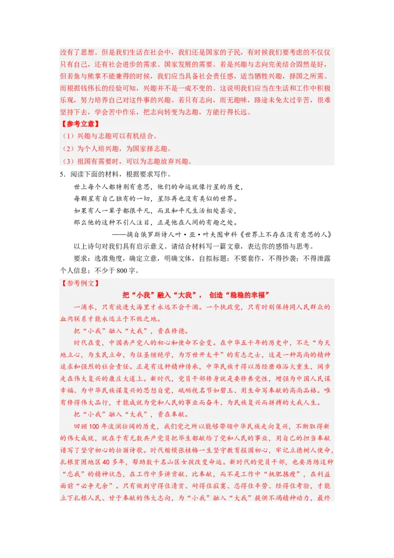 考向46写作之符合题意-备战2023年高考语文一轮复习考点微专题（新高考地区专用）（解析版）_01高考语文_32023年新高考资料_一轮复习
