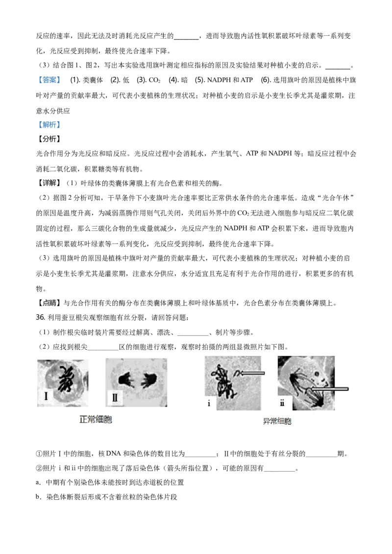 精品解析：北京市朝阳区高一上学期期末质量检测生物试题（解析版）_高中九科知识点归纳。_人教版高中Word电子版试卷练习试题知识点全科_高中生物试卷习题_生物必修_必修1_2.各地真题