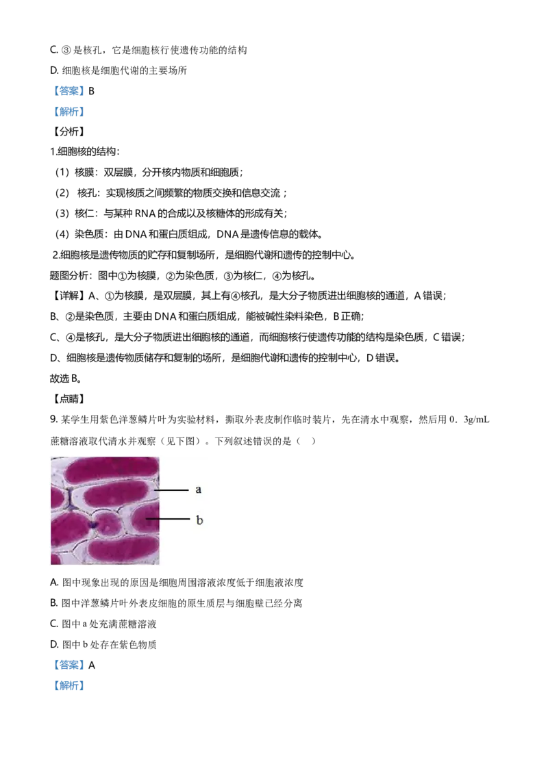 精品解析：北京市朝阳区高一上学期期末质量检测生物试题（解析版）_高中九科知识点归纳。_人教版高中Word电子版试卷练习试题知识点全科_高中生物试卷习题_生物必修_必修1_2.各地真题