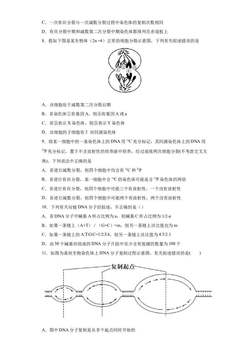 期末拔高卷3-冲刺期末高一生物下学期期末拔高冲刺卷（2019人教版）（原卷版）_高中九科知识点归纳。_人教版高中Word电子版试卷练习试题知识点全科_高中生物试卷习题_生物必修