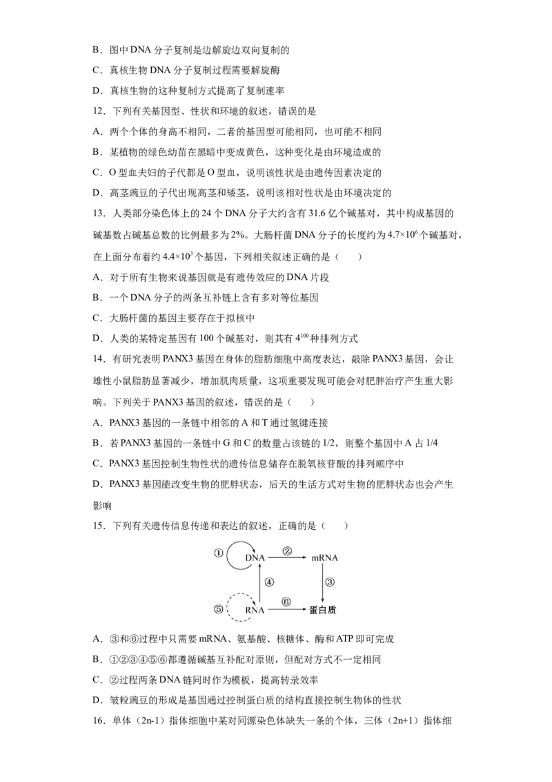 期末拔高卷3-冲刺期末高一生物下学期期末拔高冲刺卷（2019人教版）（原卷版）_高中九科知识点归纳。_人教版高中Word电子版试卷练习试题知识点全科_高中生物试卷习题_生物必修