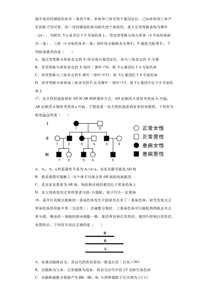 期末拔高卷3-冲刺期末高一生物下学期期末拔高冲刺卷（2019人教版）（原卷版）_高中九科知识点归纳。_人教版高中Word电子版试卷练习试题知识点全科_高中生物试卷习题_生物必修