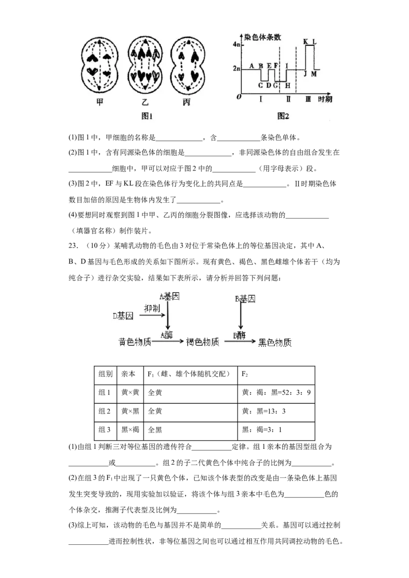 期末拔高卷3-冲刺期末高一生物下学期期末拔高冲刺卷（2019人教版）（原卷版）_高中九科知识点归纳。_人教版高中Word电子版试卷练习试题知识点全科_高中生物试卷习题_生物必修