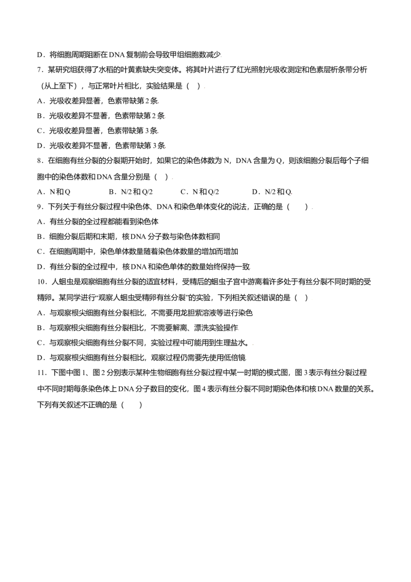 第六章章末测试-高一生物课后培优练（人教版2019必修1）（原卷版）_高中九科知识点归纳。_人教版高中Word电子版试卷练习试题知识点全科_高中生物试卷习题_生物必修_必修1