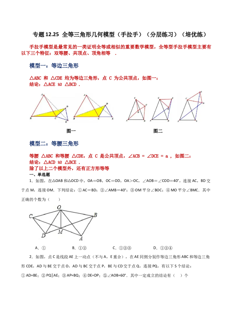 专题12.25全等三角形几何模型（手拉手）（分层练习）（培优练）-（人教版）_初中数学_八年级数学上册（人教版）_专题突破练习-V4_2024版