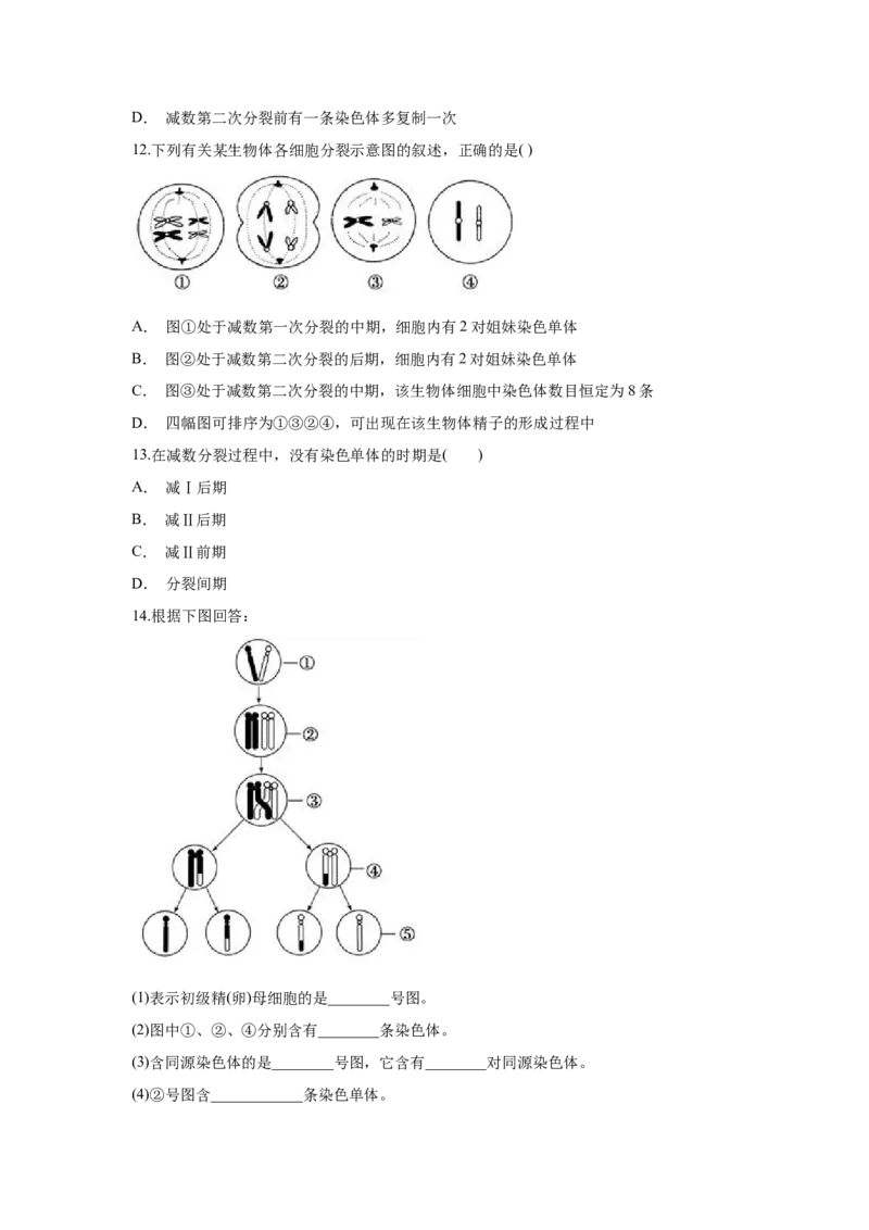 新教材精创2.1.1减数分裂与受精作用练习（1）（原卷版）_高中九科知识点归纳。_人教版高中Word电子版试卷练习试题知识点全科_高中生物试卷习题_生物必修_必修2_1、同步练习