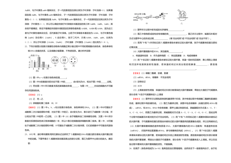 原创（新教材）下学期高一期末备考金卷生物教师版_高中九科知识点归纳。_人教版高中Word电子版试卷练习试题知识点全科_高中生物试卷习题_生物必修_必修2