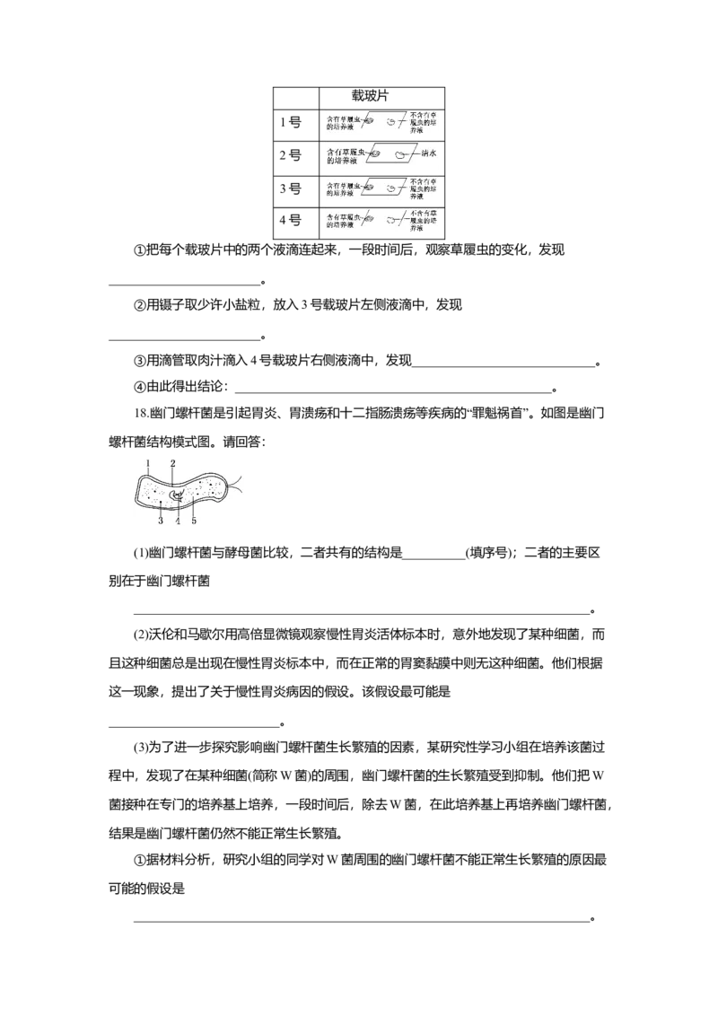 第01章走进细胞（B卷）（原卷版）_高中九科知识点归纳。_人教版高中Word电子版试卷练习试题知识点全科_高中生物试卷习题_生物必修_必修1_人教版生物必修一单元测试（032份）