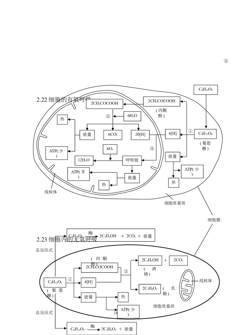 生物_高考生物知识结构网络_侧重知识梳理_86页_高中九科知识点归纳。_生物