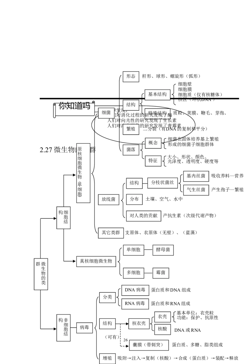 生物_高考生物知识结构网络_侧重知识梳理_86页_高中九科知识点归纳。_生物