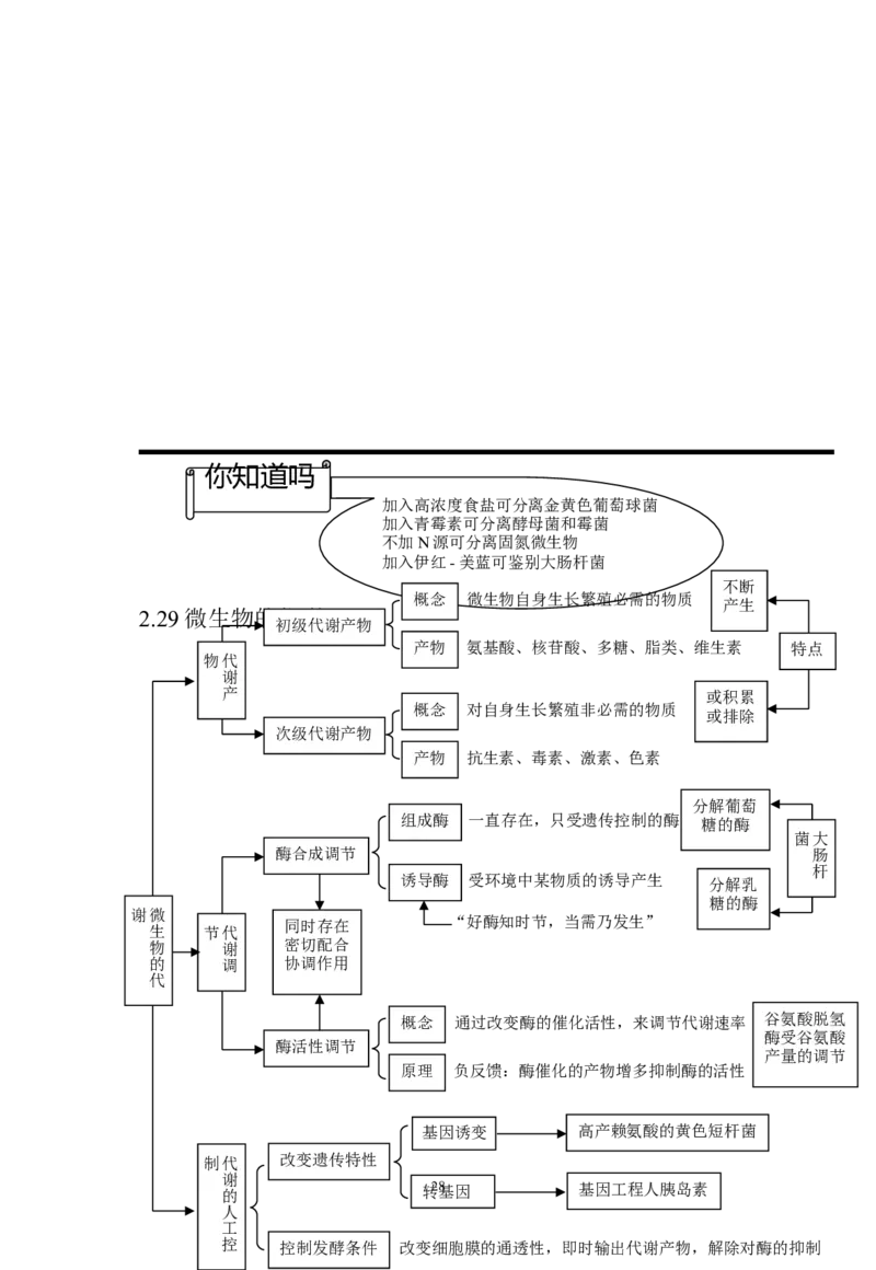 生物_高考生物知识结构网络_侧重知识梳理_86页_高中九科知识点归纳。_生物