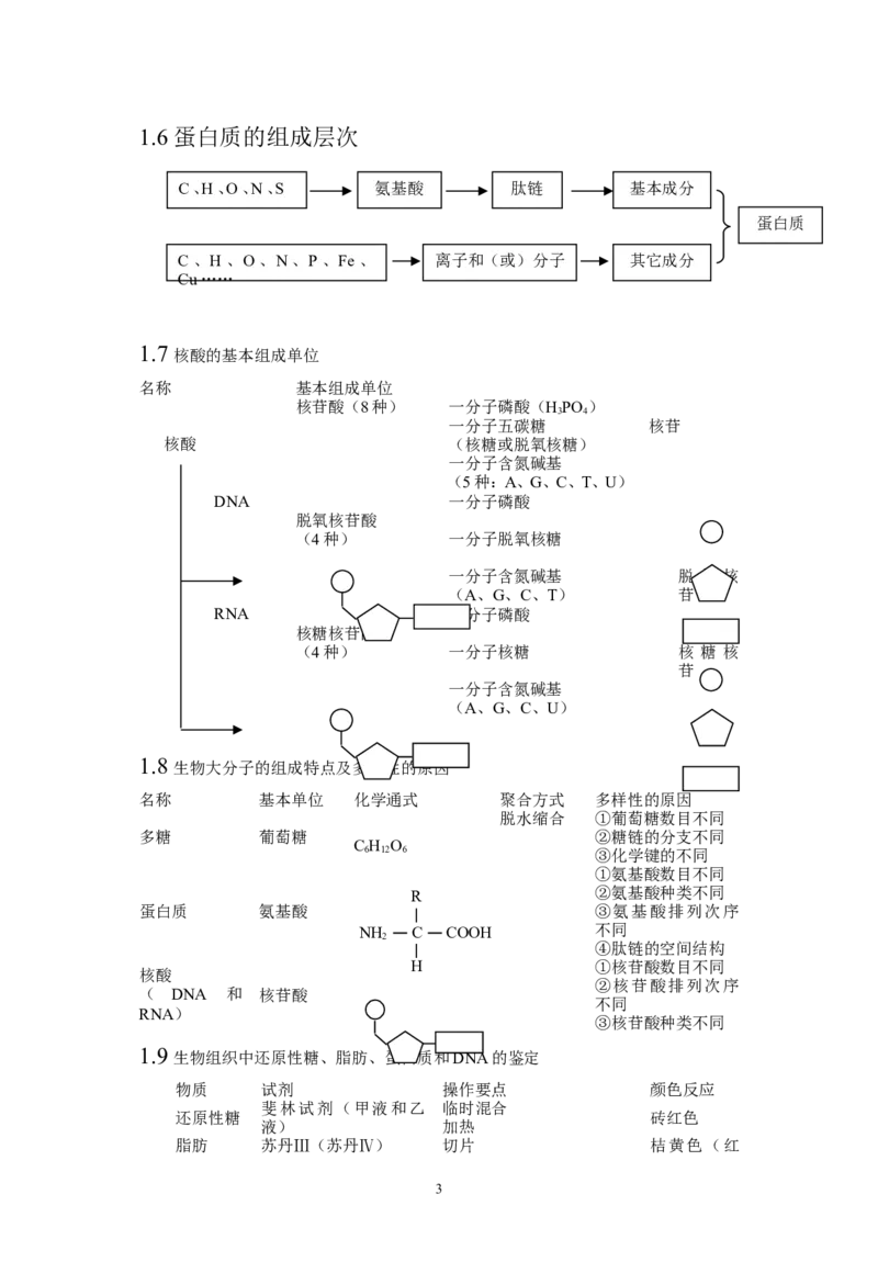 生物_高考生物知识结构网络_侧重知识梳理_86页_高中九科知识点归纳。_生物