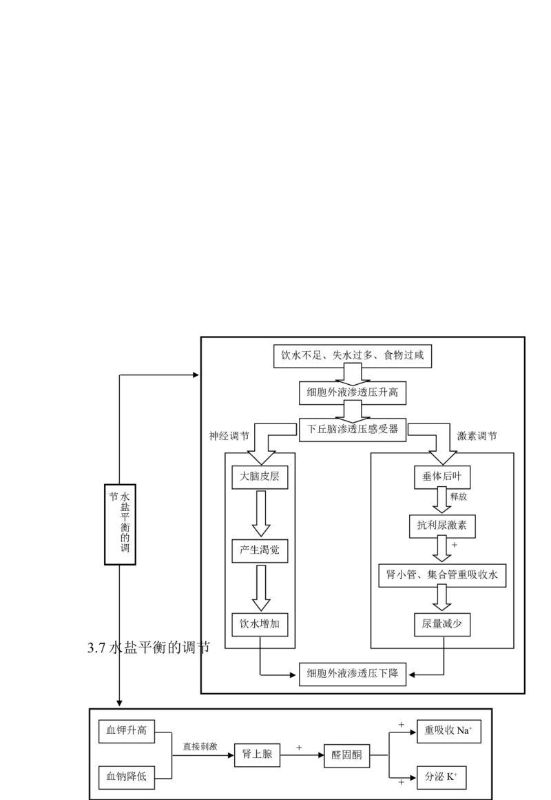 生物_高考生物知识结构网络_侧重知识梳理_86页_高中九科知识点归纳。_生物