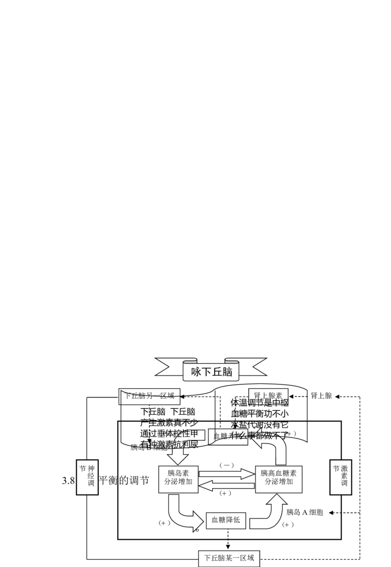 生物_高考生物知识结构网络_侧重知识梳理_86页_高中九科知识点归纳。_生物