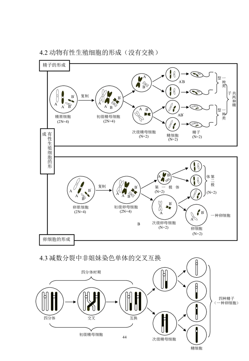 生物_高考生物知识结构网络_侧重知识梳理_86页_高中九科知识点归纳。_生物