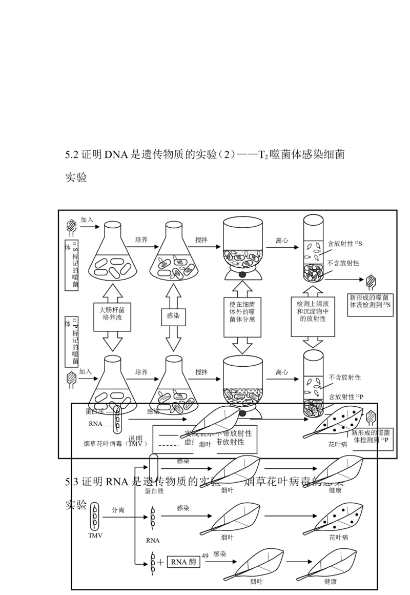 生物_高考生物知识结构网络_侧重知识梳理_86页_高中九科知识点归纳。_生物