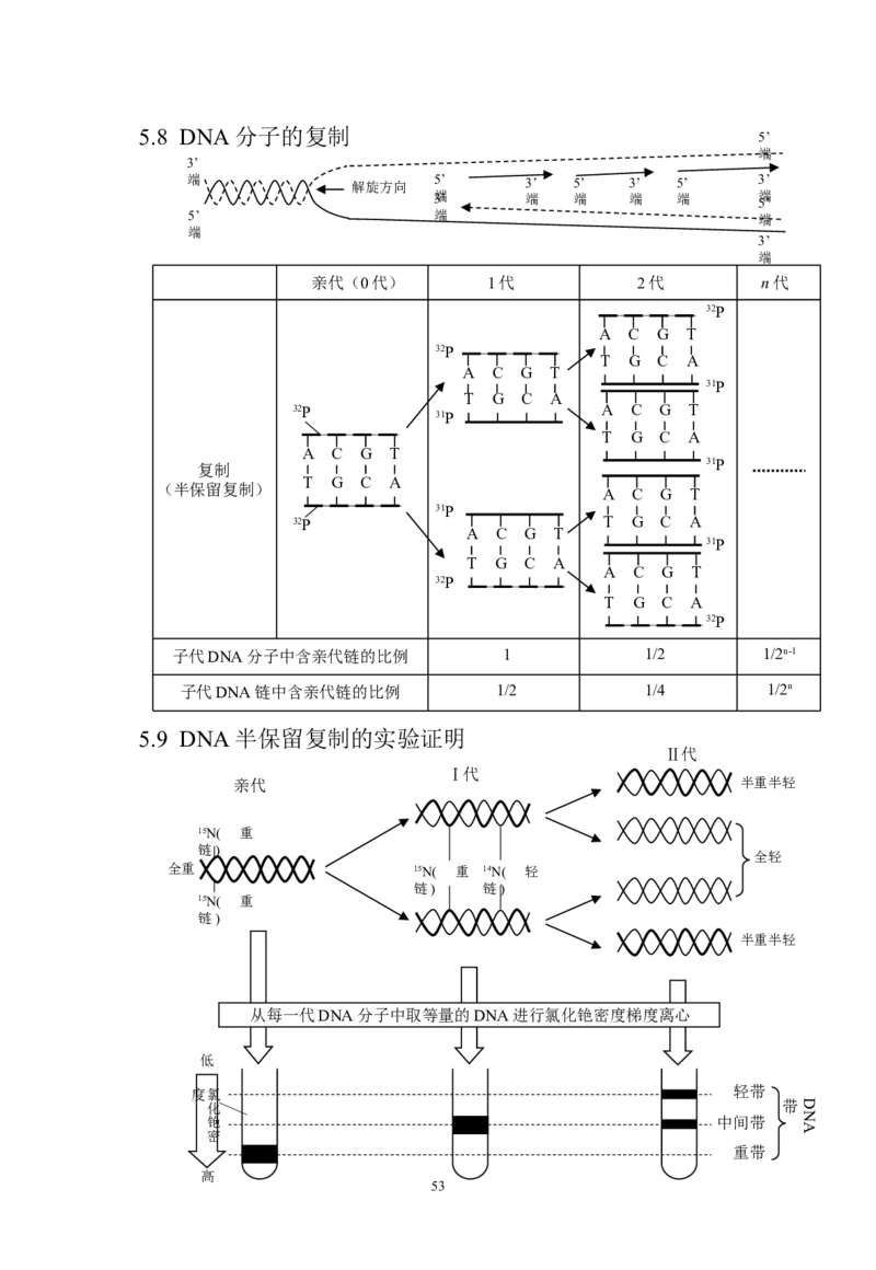 生物_高考生物知识结构网络_侧重知识梳理_86页_高中九科知识点归纳。_生物