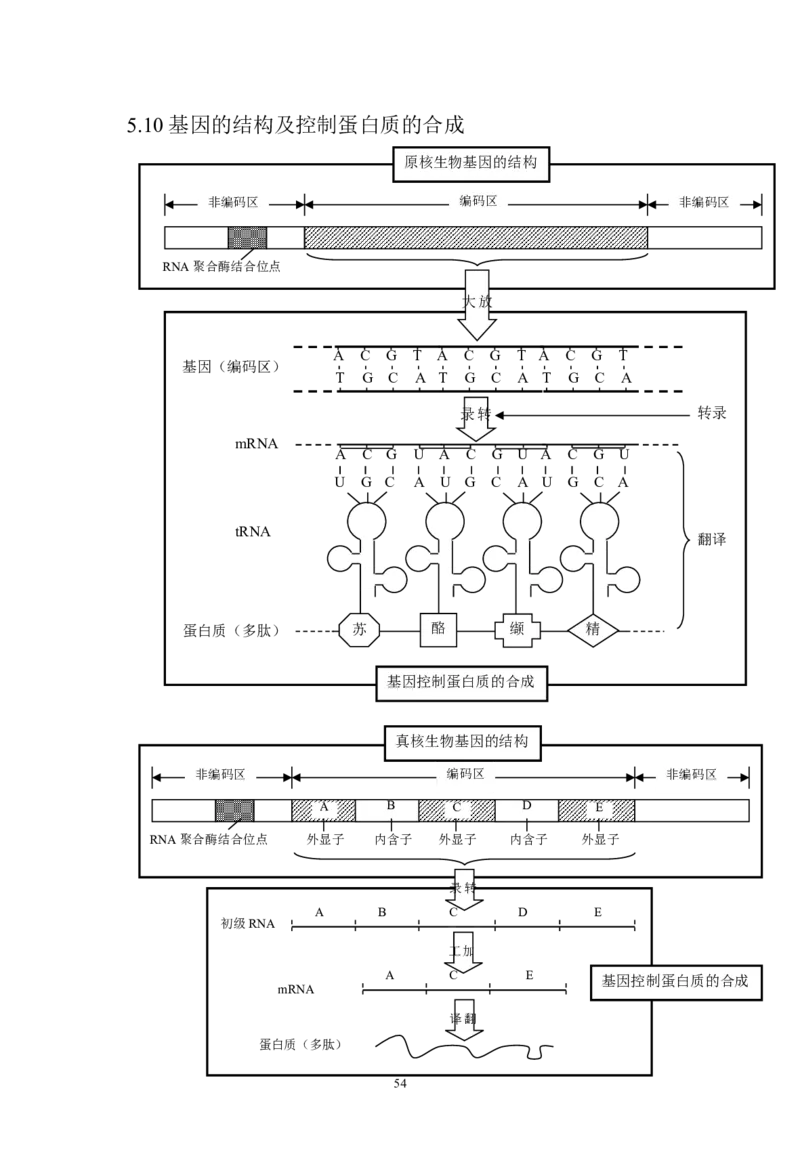 生物_高考生物知识结构网络_侧重知识梳理_86页_高中九科知识点归纳。_生物