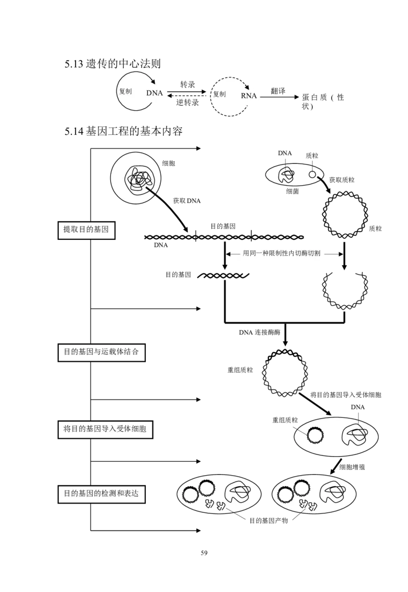 生物_高考生物知识结构网络_侧重知识梳理_86页_高中九科知识点归纳。_生物