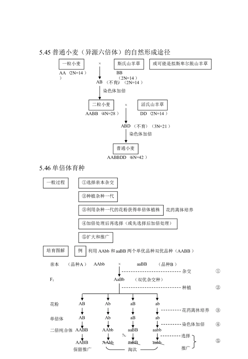生物_高考生物知识结构网络_侧重知识梳理_86页_高中九科知识点归纳。_生物