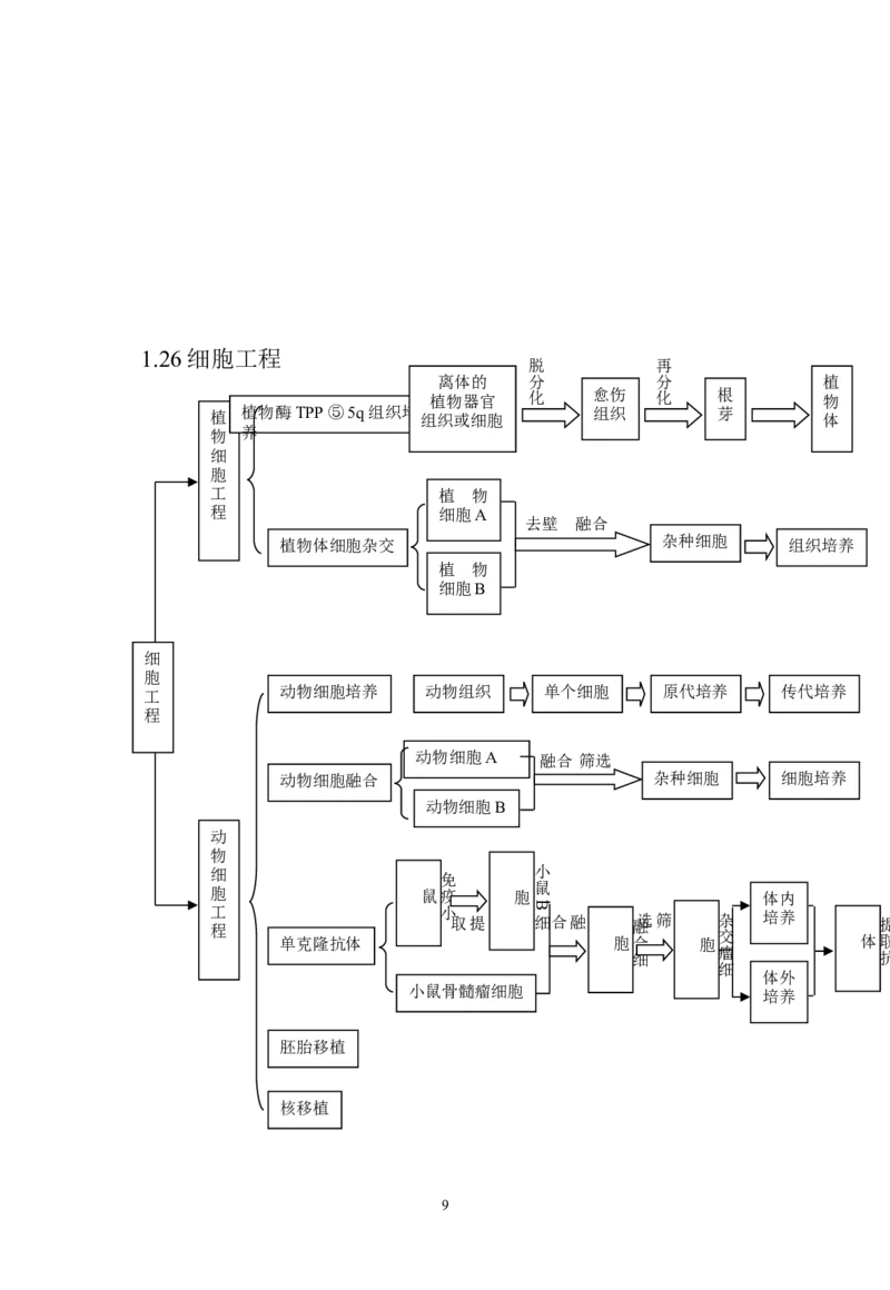 生物_高考生物知识结构网络_侧重知识梳理_86页_高中九科知识点归纳。_生物