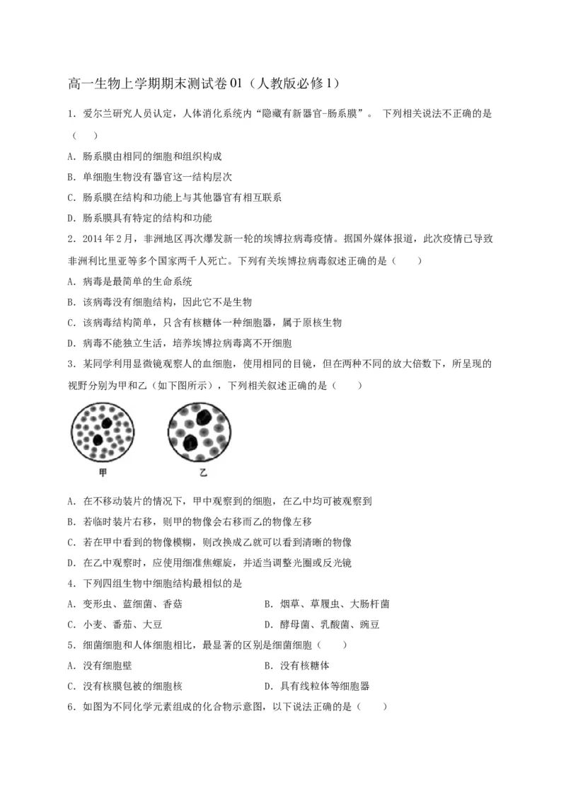 高一生物上学期期末测试卷01（人教版必修1）（原卷版）_高中九科知识点归纳。_人教版高中Word电子版试卷练习试题知识点全科_高中生物试卷习题_生物必修_必修1_1.模拟题