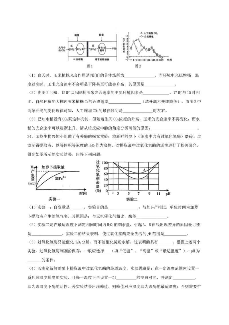 高一生物上学期期末测试卷01（人教版必修1）（原卷版）_高中九科知识点归纳。_人教版高中Word电子版试卷练习试题知识点全科_高中生物试卷习题_生物必修_必修1_1.模拟题