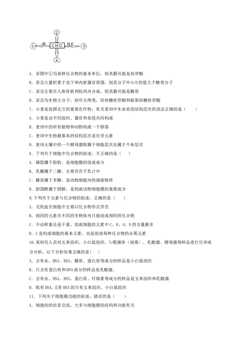 高一生物上学期期末测试卷01（人教版必修1）（原卷版）_高中九科知识点归纳。_人教版高中Word电子版试卷练习试题知识点全科_高中生物试卷习题_生物必修_必修1_1.模拟题